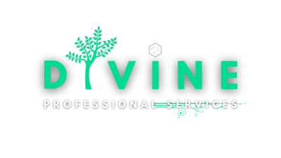 Divine Professional Services (Twitter Post)(2)